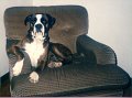 1996-04-07 - Re Rocco